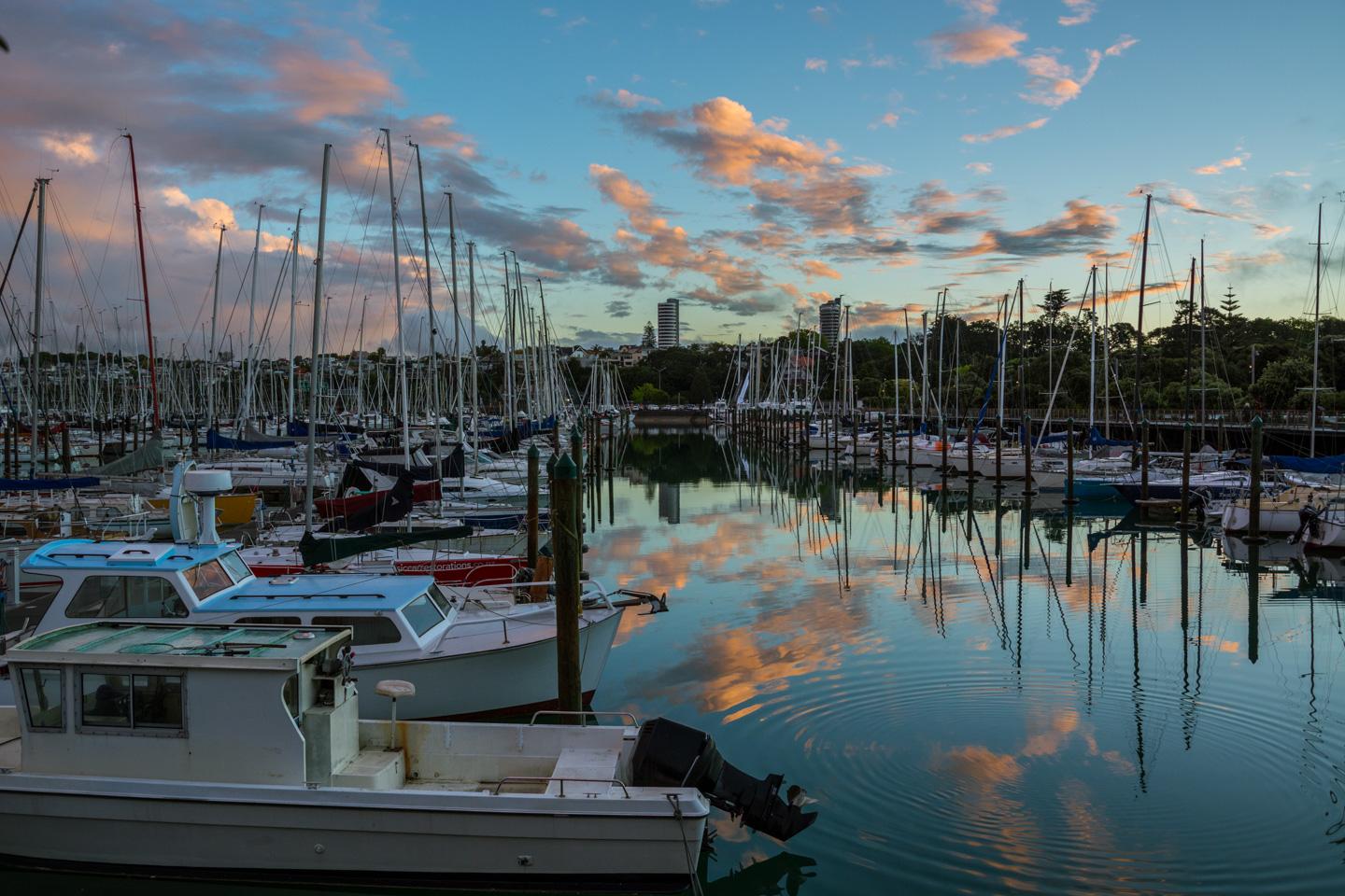 Auckland – Westhaven Marina