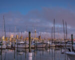 Auckland – Westhaven Marina