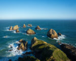 Catlins – Nugget Point