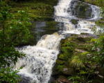 Catlins – McLean Falls