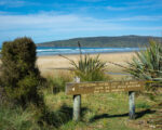 Catlins – Cathedral Caves