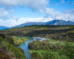 Fiordland