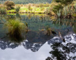 Fiordland – Mirror Lakes