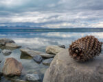 Pukaki