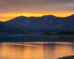 Tekapo