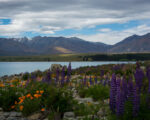 Tekapo