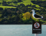 Akaroa