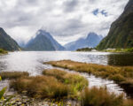 Fiordland – Milford Sound